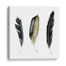 Plumas Suaves Ii - Grace Popp | Cuadro decorativo de Canvas Lab