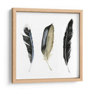 Plumas Suaves Ii - Grace Popp | Cuadro decorativo de Canvas Lab