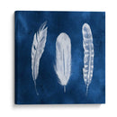 Cianotipo Plumas I - Grace Popp | Cuadro decorativo de Canvas Lab
