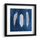Cianotipo Plumas I - Grace Popp | Cuadro decorativo de Canvas Lab