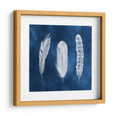 Cianotipo Plumas I - Grace Popp | Cuadro decorativo de Canvas Lab