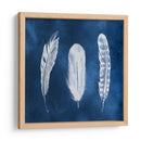 Cianotipo Plumas I - Grace Popp | Cuadro decorativo de Canvas Lab
