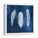 Cianotipo Plumas I - Grace Popp | Cuadro decorativo de Canvas Lab