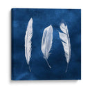 Cianotipo De Plumas Ii - Grace Popp | Cuadro decorativo de Canvas Lab