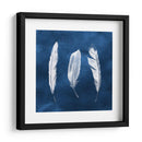 Cianotipo De Plumas Ii - Grace Popp | Cuadro decorativo de Canvas Lab