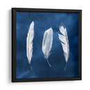 Cianotipo De Plumas Ii - Grace Popp | Cuadro decorativo de Canvas Lab