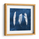 Cianotipo De Plumas Ii - Grace Popp | Cuadro decorativo de Canvas Lab