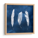 Cianotipo De Plumas Ii - Grace Popp | Cuadro decorativo de Canvas Lab