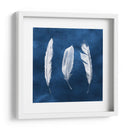 Cianotipo De Plumas Ii - Grace Popp | Cuadro decorativo de Canvas Lab