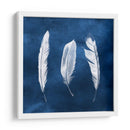 Cianotipo De Plumas Ii - Grace Popp | Cuadro decorativo de Canvas Lab