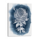 Ghost Rose Iv - Grace Popp | Cuadro decorativo de Canvas Lab
