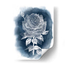 Ghost Rose Iv - Grace Popp | Cuadro decorativo de Canvas Lab