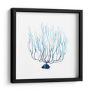 Fan De La Mer I - Grace Popp | Cuadro decorativo de Canvas Lab