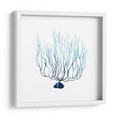Fan De La Mer I - Grace Popp | Cuadro decorativo de Canvas Lab