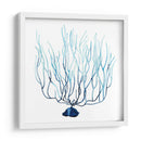 Fan De La Mer I - Grace Popp | Cuadro decorativo de Canvas Lab