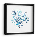 Fan De La Mer Vi - Grace Popp | Cuadro decorativo de Canvas Lab