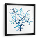 Fan De La Mer Vi - Grace Popp | Cuadro decorativo de Canvas Lab