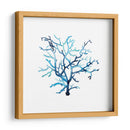 Fan De La Mer Vi - Grace Popp | Cuadro decorativo de Canvas Lab