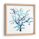 Fan De La Mer Vi - Grace Popp | Cuadro decorativo de Canvas Lab