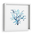 Fan De La Mer Vi - Grace Popp | Cuadro decorativo de Canvas Lab