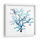 Fan De La Mer Vi - Grace Popp | Cuadro decorativo de Canvas Lab