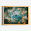 La única estrella | Cuadro decorativo de Canvas Lab