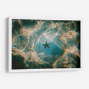 La única estrella | Cuadro decorativo de Canvas Lab