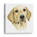 El Mejor Amigo De Los Humanos I - Grace Popp | Cuadro decorativo de Canvas Lab