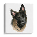 El Mejor Amigo De Los Humanos Ii - Grace Popp | Cuadro decorativo de Canvas Lab