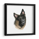 El Mejor Amigo De Los Humanos Ii - Grace Popp | Cuadro decorativo de Canvas Lab