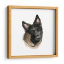 El Mejor Amigo De Los Humanos Ii - Grace Popp | Cuadro decorativo de Canvas Lab