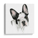 El Mejor Amigo De Los Humanos Iv - Grace Popp | Cuadro decorativo de Canvas Lab