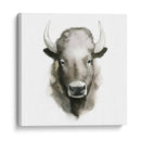 Búfalo Acuarela - Grace Popp | Cuadro decorativo de Canvas Lab