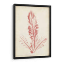 Pluma De Mar Coral I - Henry Bradbury | Cuadro decorativo de Canvas Lab
