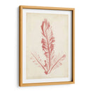 Pluma De Mar Coral I - Henry Bradbury | Cuadro decorativo de Canvas Lab