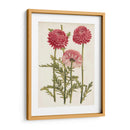Bellezas Del Jardín Vintage I - Horto Van Houtteano | Cuadro decorativo de Canvas Lab