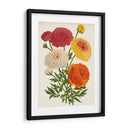 Bellezas Del Jardín Vintage Ii - Horto Van Houtteano | Cuadro decorativo de Canvas Lab