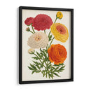 Bellezas Del Jardín Vintage Ii - Horto Van Houtteano | Cuadro decorativo de Canvas Lab