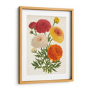 Bellezas Del Jardín Vintage Ii - Horto Van Houtteano | Cuadro decorativo de Canvas Lab