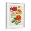 Bellezas Del Jardín Vintage Ii - Horto Van Houtteano | Cuadro decorativo de Canvas Lab