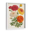 Bellezas Del Jardín Vintage Ii - Horto Van Houtteano | Cuadro decorativo de Canvas Lab