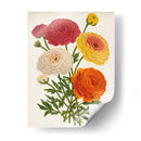 Bellezas Del Jardín Vintage Ii - Horto Van Houtteano | Cuadro decorativo de Canvas Lab