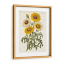 Bellezas De Jardín Vintage Iii - Horto Van Houtteano | Cuadro decorativo de Canvas Lab