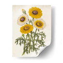 Bellezas De Jardín Vintage Iii - Horto Van Houtteano | Cuadro decorativo de Canvas Lab