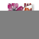 Arreglo Vivid Ii - Jennifer Goldberger | Cuadro decorativo de Canvas Lab