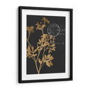 Hojas Doradas Iii - Jennifer Goldberger | Cuadro decorativo de Canvas Lab