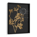 Hojas Doradas Iii - Jennifer Goldberger | Cuadro decorativo de Canvas Lab