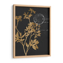 Hojas Doradas Iii - Jennifer Goldberger | Cuadro decorativo de Canvas Lab