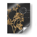 Hojas Doradas Iii - Jennifer Goldberger | Cuadro decorativo de Canvas Lab