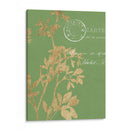 Hojas De Vegetación I - Jennifer Goldberger | Cuadro decorativo de Canvas Lab